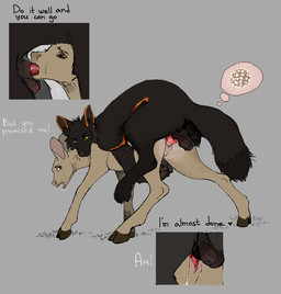 amber_eyes animal_genitalia animal_penis balls bite black_body black_fur bodily_fluids brown_body brown_eyes brown_fur canine_genitalia canine_penis cum duo female female_penetrated feral feral_on_feral feral_penetrated feral_penetrating feral_penetrating_feral fur genital_fluids genitals grey_body grey_fur impregnation knotting leaking_cum male male/female male_penetrating male_penetrating_female neck_bite oral oral_knotting oral_penetration orange_body orange_fur ovum penetration penis predator_penetrating_prey questionable_consent sex tail tan_body tan_fur text vaginal vaginal_penetration jeffusherb kael_(beleynn) canid canine canis deer mammal wolf 2026 digital_media_(artwork) english_text sketch