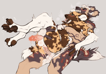 anal anal_penetration anthro balls bent_spoon_position black_nose blue_eyes blush bodily_fluids brown_body brown_fur clenched_teeth ear_piercing from_behind_position fur genital_fluids genitals hair humanoid_genitalia humanoid_penis leaking_precum male male/male motion_lines nude pawpads paws penetration penis piercing precum precum_string sex simple_background tail teeth tongue tongue_out white_body white_fur white_hair hijen jaden_ribery vanchesskoawd african_wild_dog canid canine mammal absurd_res hi_res