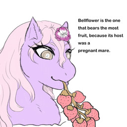 bellflower buried dirt eyelashes female female_feral feral flower_on_head food fruit fur grey_eyes hair mouth_closed pink_hair plant purple_body purple_fur simple_background smile solo strawberry text tongue unusual_anatomy unusual_tongue white_background yellowcottoncandy030 fluffy_pony elemental_creature flora_fauna fluffy_pony_(species) mammal 1:1 2025 digital_drawing_(artwork) digital_media_(artwork) english_text hi_res