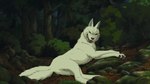 ambiguous_gender fangs feral fur pawpads paws plant quadruped solo tail teeth tree the_giant_hamster ghibli princess_mononoke moro-no-kimi canid canine canis mammal wolf 2023 absurd_res hi_res