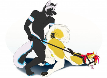 all_fours anal anal_penetration animal_genitalia animal_penis anthro anthro_on_anthro anthro_penetrated anthro_penetrating anthro_penetrating_anthro anus ass_up backsack balls black_body black_fur blue_eyes bodily_fluids canine_genitalia canine_penis collar cum cum_in_ass cum_inside dominant dominant_male duo erection from_behind_position fur genital_fluids genitals holding_leash holding_object knot leash leash_pull male male/male male_penetrated male_penetrating male_penetrating_male muzzle_(object) muzzled nude penetration penis raised_tail rear_admiral_position sex simple_background submissive submissive_male tail tail_grab tongue tongue_out white_background yellow_body yellow_fur kittentits canid canine mammal 2015