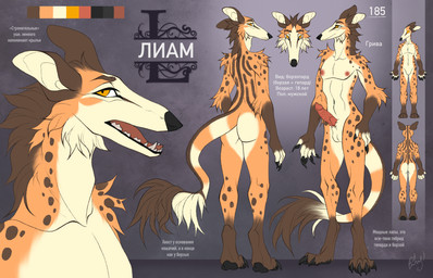 4_toes 5_fingers animal_genitalia animal_penis anthro areola arm_tuft balls big_butt black_claws black_nose brown_body brown_ears brown_eyebrows brown_fur brown_fur_markings brown_spots brown_stripes butt butt_heart cheek_tail claws countershade_fur countershade_torso countershading eyebrows fangs feet fingers front_and_back front_view fur genitals gloves_(marking) grey_background hair head_tuft knot knotted_penis leg_markings long_tail male mane mane_hair markings multicolored_body multicolored_fur multicolored_tail nipples nude open_mouth orange_body orange_eyes orange_fur paws penile penile_spines penis pink_areola pink_genitals pink_nipples pink_penis pink_tongue pose rear_view shoulder_tuft simple_background slim socks_(marking) solo spiked_penis spikes spikes_(anatomy) spots spotted_body spotted_fur standing stripes tail tail_markings tail_tuft teeth text toes tongue tuft two_tone_body two_tone_fur white_body white_fur white_sclera tofuka_hirose liam_(acidonix) borzoi borzopard canid canine canis cheetah domestic_dog felid feline hunting_dog hybrid mammal sighthound absurd_res hi_res model_sheet
