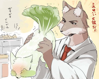anthro blush clothed clothing covering_eyes digital_media_(artwork) doctor duo_focus feral flora_fauna fur group inner_ear_fluff kemono konkon male mammal necktie nude plant shirt
Rating: Safe
Score: 5
User: SkokiaanFox
Date: February 26, 2015 anthro blush clothed clothing covering_eyes digital_media_(artwork) doctor duo_focus feral flora_fauna fur group inner_ear_fluff kemono konkon male mammal necktie nude plant shirt
Rating: Safe
Score: 5
User: SkokiaanFox
Date: February 26, 2015