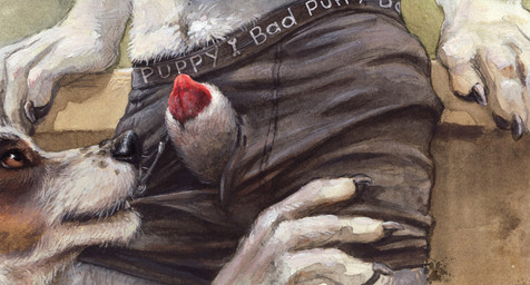 5_fingers ambiguous_gender animal_genitalia animal_penis anthro bad_puppy_boxers bite boxer_briefs brown_body brown_eyes brown_fur canine_genitalia canine_penis claws close-up clothed clothing clothing_pull detached_sheath duo faceless_character faceless_male fingers fur genitals grey_clothing grey_underwear looking_at_another male male/ambiguous penis penis_poking_out penis_tip sheath sheath_through_fly solo_focus standing teeth text underwear underwear_pull white_body white_fur blotch bad_puppy scratches_volume_4 canid canine canis domestic_dog mammal 16:9 2010 detailed english_text traditional_media_(artwork) widescreen