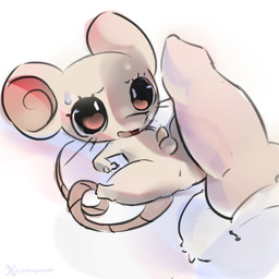 animal_genitalia animal_penis anus balls black_eyes bodily_fluids canine_genitalia canine_penis duo feral fur genitals grey_body grey_fur knot lying male male/male on_back penis size_difference sweat tail tapering_penis godforgiveme4 one_piece chuji_(one_piece) mammal mouse murid murine rodent 1:1 hi_res