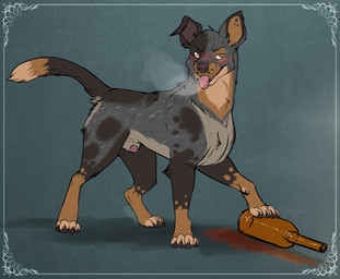 animal_genitalia blush bottle brown_body brown_claws brown_eyes brown_fur brown_nose claws container drunk feral fur genitals grey_body grey_fur looking_at_viewer male penis penis_tip pink_penis pink_tongue quadruped sheath solo standing substance_intoxication tongue tongue_out whitefeathersrain australian_shepherd canid canine canis domestic_dog herding_dog mammal pastoral_dog sheepdog