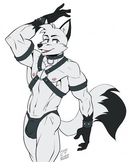 anthro areola armband athletic athletic_anthro athletic_male balls_outline biped black_markings bracelet bulge cheek_tuft clothing collar detailed_bulge facial_tuft fangs fur genital_outline half-closed_eyes harness jewelry leather leather_armband male male_anthro markings muscle_tone narrowed_eyes nipples open_mouth open_smile pecs simple_background smile solo studded_bracelet studded_collar studded_jewelry studs teeth thong tuft underwear white_background white_body white_fur naughtyjester tredain canid canine fox mammal hi_res