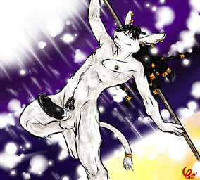 abstract_background action_pose anthro balls biped black_hair black_nose black_penis blue_eyes bodily_fluids claws cum digitigrade dreadlocks ear_piercing egyptian erection feet fur genital_fluids genitals glans hair hindpaw humanoid_genitalia humanoid_penis light long_hair looking_at_viewer male melee_weapon nipple_piercing nipples nude paws penis piercing polearm pose precum priest raised_leg simple_background smile solo staff star sun weapon white_body white_fur yuki-chi areku_al-khemi anubian_jackal canid canine canis jackal mammal 2009