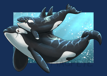 black_body black_fin black_tail brown_eyes dolphin_tail dorsal_fin duo female feral fin green_eyes male open_mouth tail underwater water young magpeyes aquatic cetacean dolphin mammal oceanic_dolphin orca toothed_whale 2023 alpha_channel watermark