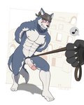 abs anthro balls biceps biped black_nose blue_eyes blush bodily_fluids brown_eyebrows claws clenched_teeth coliseum duo ear_piercing ear_ring erection eyebrows feet fur genital_fluids genital_leash genitals glans grey_body grey_fur grey_pubes grey_tail hands_behind_back humanoid_feet humanoid_genitalia humanoid_hands humanoid_penis kerchief kerchief_only leash male mostly_nude multicolored_body multicolored_fur muscular muscular_anthro muscular_male navel nipples pecs penile penis penis_leash piercing plantigrade pubes red_glans ring_piercing tail teeth thick_eyebrows triceps two_tone_body two_tone_fur two_tone_tail walking white_balls white_body white_fur white_penis white_tail dudedle kzwolf4 kemo_coliseum volga_(kemo_coliseum) canid canine canis domestic_dog husky mammal nordic_sled_dog spitz hi_res