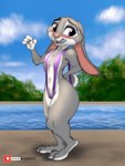 absurd_res anthro arm_tuft beach bikini blush breasts buckteeth cheek_tuft chest_tuft claws clenched_teeth clothed clothing disney elbow_tuft facial_tuft female fur grey_body hi_res judy_hopps lagomorph leporid link6432 looking_at_viewer mammal multicolored_body multicolored_fur navel nervous_sweat one-piece_swimsuit open_mouth outside purple_eyes rabbit scut_tail seaside short_tail skimpy sling_bikini small_breasts smile solo swimwear tail teeth toe_claws tuft two_tone_body two_tone_fur zootopia
