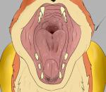 ambiguous_gender fangs feral fur mouth_shot open_mouth orange_body orange_fur palate solo tan_body tan_fur teeth throat tongue tongue_out magpie_magnetism nintendo pokemon floatzel generation_4_pokemon pokemon_(species) hi_res