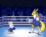 3_toes blue_eyes bottomwear boxing boxing_gloves clothing duo ear_tuft feet female fighting_ring handwear long_tail neck_tuft shorts sport tail tail_tuft toes tuft whiskers kitsune2000 bandai_namco digimon canid digimon_(species) gatomon mammal renamon