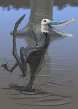 ambiguous_gender beak blue_beak claws detailed_background dirty duo feathers feet feral glistening membrane_(anatomy) membranous_wings mud mud_covered open_beak open_mouth outside plantigrade quadruped red_eyes reflection running splash teeth toes water water_reflection white_body white_feathers wings knuppitalism bakiribu dinosaur irritator prehistoric_species pterosaur reptile saurischian scalie spinosaurid theropod 2025 absurd_res digital_media_(artwork) digital_painting_(artwork) hi_res painting_(artwork)
