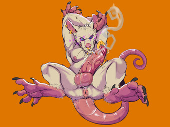 anthro areola arm_hair balls big_balls big_penis body_hair buckteeth cigarette claws digitigrade ear_piercing erection facial_piercing foreskin fur genital_piercing genitals glans glans_piercing hair hairy hairy_balls huge_penis humanoid_genitalia humanoid_penis male nipples nose_piercing nude orange_background penis penis_piercing piercing pink_areola pink_eyes pink_penis pink_tongue prince_albert_piercing simple_background small_but_hung smile smoke smug smug_face solo teeth toe_claws tongue white_body white_fur white_hair jawsandcorp zee_(zeebusk) mammal murid murine rat rodent 4:3 absurd_res hi_res