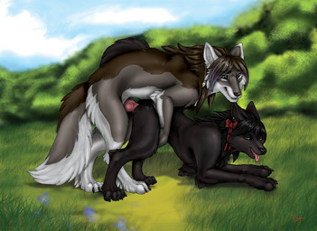 animal_genitalia animal_penis black_hair brown_hair canine_genitalia canine_penis detailed_background digitigrade duo ear_piercing erection female female_penetrated feral feral_on_feral feral_penetrated feral_penetrating feral_penetrating_feral genitals hair knot male male/female male_penetrating male_penetrating_female mount outside penetration penis piercing sex snout cockiestspaniel jade_(alias-ragna) canid canine canis domestic_dog mammal