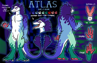 2_penises 4_fingers 4_toes anthro athletic athletic_male ball_tuft balls claws diphallism feet finger_claws fingers genitals hypnotic_eyes knot knotted_penis male multi_genitalia multi_penis navel pawpads paws penis red_eyes ringed_eyes sharp_teeth solo teeth text toe_claws toes tongue tongue_out tuft jimmycervix sergal english_text hi_res model_sheet