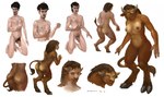 2016 3_fingers anthro balls beard black_hair blizzard_entertainment borsmenta bovid bovine breast_growth breasts brown_body brown_fur brown_hair butt facial_hair female fingers fur gender_transformation genitals growth hair hooves horn horn_growth human human_to_anthro humanoid_genitalia humanoid_penis kneeling male mammal mid_transformation mtf_transformation navel nipples nude penis pussy simple_background smile solo species_transformation standing tail tail_growth tauren transformation warcraft white_background