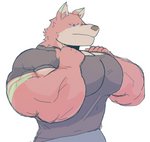 anthro biceps big_muscles brown_nose clothing fur green_body green_fur green_stripes hand_on_chest huge_muscles looking_down male multicolored_body multicolored_fur muscular muscular_anthro muscular_male pecs pink_body pink_fur red_eyes shirt simple_background solo striped_body striped_fur stripes tan_body tan_fur tight_clothing topwear white_background crocobu kane_(crocobu) canid canine canis mammal wolf 2020 absurd_res hi_res