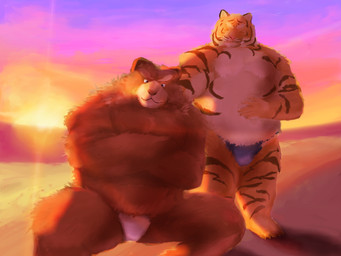 anthro asian_clothing belly brown_body brown_fur clothing duo east_asian_clothing fundoshi fur humanoid_hands japanese_clothing kemono male outside overweight overweight_male sun underwear velcro74656 bear felid mammal pantherine tiger 2016 4:3