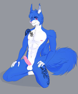 anthro balls blue_nails colored_nails erection genitals humanoid_genitalia humanoid_penis looking_at_viewer male nails nude_male penis solo tattoo lirex sylvester_adams domestic_cat felid feline felis maine_coon mammal absurd_res hi_res