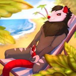 anthro balls beach bodily_fluids cum detailed_background erection fur genital_fluids genitals hair looking_at_viewer male outside penis piercing ring_piercing sand seaside smile solo tail teeth water white_body white_fur kabarga american_opossum mammal marsupial 1:1 digital_media_(artwork) hi_res