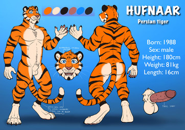 animal_genitalia anthro balls blue_background blue_eyes color_swatch erection facial_markings front_view fully_sheathed fur genitals glistening glistening_eyes gloves_(marking) head_markings head_tuft leg_markings male male_anthro markings mouth_closed muscular muscular_anthro muscular_male nude open_mouth orange_body orange_fur rear_view sheath simple_background socks_(marking) solo standing striped_arms striped_face striped_legs striped_markings striped_tail stripes tail tail_markings text tuft whiskers white_balls white_body white_fur white_sheath hufnaar hufnaar_(character) felid mammal pantherine tiger absurd_res english_text hi_res model_sheet