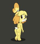 accessory animal_crossing anthro barefoot bell butt canid canine canis domestic_dog feet female hair_accessory hair_tie happy_harvey isabelle_(animal_crossing) looking_at_viewer looking_back mammal nintendo nude paws phone_drawing solo