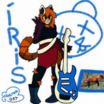 anthro black_body black_fur ears_up electric_guitar female fur guitar hair musical_instrument orange_body orange_fur plucked_string_instrument red_hair rock short_hair solo string_instrument tail hasterart iris_(hasterart) ailurid mammal red_panda 1:1 hi_res reference_image