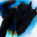 anthro avian_feet back_wings beak black_body black_feathers blue_body blue_feathers cloud feathered_wings feathers feet foot_fetish foot_focus grey_body grey_feathers imminent_stomp looming low-angle_view macro male mane raised_foot sky smile smirk soles solo stepping stomping_viewer tail tail_feathers talons toes wings yellow_body yellow_eyes yellow_feathers jazzumi ahab_(ahugebird) accipitrid accipitriform avian bald_eagle bird eagle sea_eagle 1:1 hi_res