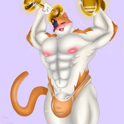 abs anthro big_muscles bodily_fluids bulge clothed clothing dumbbell exercise eyes_closed genitals gold_(metal) male mottled muscular muscular_anthro muscular_male nipples open_mouth open_smile orange_clothing orange_underwear pecs penis piebald pink_nipples raised_arms simple_background smile solo standing sweat tongue topless underwear vein veiny_penis weightlifting weights workout yamwamm epic_games fortnite meowscles calico_cat domestic_cat felid feline felis mammal 1:1 2022 hi_res