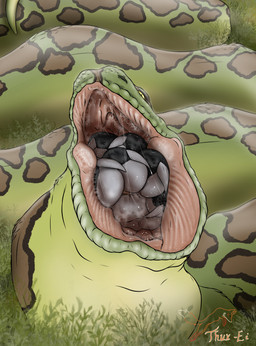 barefoot bodily_fluids claws curling_toes digit_ring feet foot_fetish foot_focus foot_lick foot_play hindpaw jewelry licking paws ring saliva saliva_on_foot saliva_on_tongue saliva_string toe_claws toe_ring toes tongue vore willing_prey thux-ei mythology dyrmun_(character) dragon mythological_creature mythological_scalie reptile scalie snake hi_res