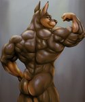 anthro back_muscles biceps big_butt butt flexing looking_at_viewer looking_back looking_back_at_viewer male muscular muscular_anthro muscular_male nude rear_view simple_background smile solo bleakcat canid canine canis dobermann domestic_dog mammal pinscher