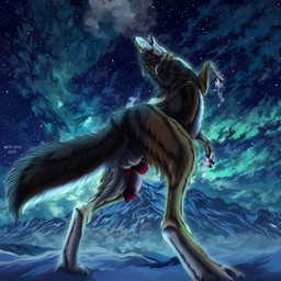 animal_genitalia animal_penis balls black_claws canine_genitalia canine_penis cheek_tuft claws ears_back erection facial_tuft fangs feral fur genitals grey_body grey_fur knot knotted_penis male male_feral mountain multicolored_penis neck_tuft night open_mouth outside penis pivoted_ears red_penis snow solo star tan_body tan_fur teeth text tuft two_tone_penis white_balls white_penis wide_stance msdeadsoul taki_(taki-wolf) canid canine canis mammal wolf 1:1 2025 artist_name dated hi_res
