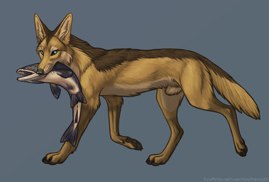 ambiguous_feral ambiguous_gender animal_genitalia black_sclera blue_background blue_eyes brown_body brown_fur brown_tail corpse duo feral fully_sheathed fur genitals looking_at_viewer male male_feral open_mouth sheath side_view simple_background tail tan_body tan_fur text yellow_body yellow_fur yellow_tail heatherwolf aquatic canid canine canis fish golden_jackal jackal mammal url
