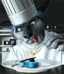 anthro black_nose blue_claws blue_eyes blue_hair chef chef_hat claws clothed clothing concentration cooking dessert detailed_background detailed_food food forceps fur grey_body grey_fur hair hat headgear headwear kitchen male medical_instrument pink_tongue plate restaurant scientific_instrument solo surgical_instrument tongue tongue_out toque tweezers uniform whiskers swish arcturus_(arcturusthechusky) canid canine canis cheetah domestic_dog felid feline husky hybrid mammal nordic_sled_dog spitz 2016 absurd_res detailed hi_res