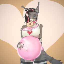 anthro black_hair blue_eyes bulge clothing collar crop_top fur grey_body grey_fur gynomorph hair highlights_(coloring) holidays intersex legwear multicolored_hair one-piece_swimsuit pattern_clothing pattern_legwear pattern_thigh_highs pink_clothing pink_collar pink_swimwear pregnant pregnant_intersex red_highlights shirt sidecut solo striped_clothing striped_legwear striped_thigh_highs stripes swimwear thigh_highs topwear white_clothing white_crop_top white_highlights white_topwear indigobx valentine's_day uzuri_dazzle_(indigobx) canid canine mammal 1:1 hi_res
