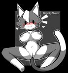 anthro areola blush breasts female genitals grey_areola grey_nipples grey_pussy heart_symbol nipples paws pussy solo spread_legs spreading tail exyli vivian_(exyli) felid feline mammal 2023 alpha_channel hi_res