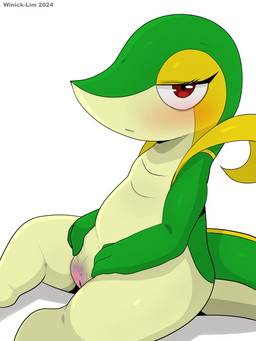 3_fingers anthro biped blush bodily_fluids eyelashes featureless_feet feet female female_anthro fingers genital_fluids genitals glistening glistening_body glistening_eyes green_body green_tail half-closed_eyes humanoid_genitalia humanoid_vulva looking_at_viewer mouth_closed multicolored_body multicolored_tail narrowed_eyes nude nude_anthro nude_female red_eyes simple_background sitting solo spread_vulva spreading tail tan_body tan_tail text vaginal_fluids vulva white_background yellow_body yellow_tail winick-lim nintendo pokemon generation_5_pokemon pokemon_(species) scalie snivy 2024 3:4 absurd_res artist_name digital_media_(artwork) hi_res