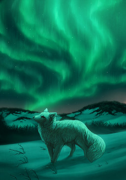 ambiguous_gender aurora_(phenomenon) branch detailed_background detailed_fur digitigrade feral fluffy fur grass hill light night outside plant side_view sky snow solo star starry_sky white_body white_fur winter kippycube arctic_fox canid canine fox mammal true_fox 2014 detailed green_theme lighting