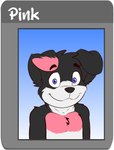 anthro black_body black_fur black_hair black_nose blue_eyes fur hair male pink_body pink_fur smile solo white_body white_fur young young_anthro onykr pink_collie border_collie canid canine canis collie domestic_dog herding_dog mammal pastoral_dog sheepdog