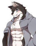 abs anthro black_body black_fur blue_eyes blush clothed clothing fur hair hoodie male muscular muscular_anthro muscular_male open_clothing open_hoodie open_topwear pecs simple_background solo tongue tongue_out topwear white_background white_body white_fur white_hair hayatohalada utau baion_urushi canid canine canis domestic_dog husky mammal nordic_sled_dog spitz half-length_portrait hi_res portrait