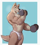 anthro biceps big_arms bodily_fluids brown_body brown_fur butt clothed clothing exercise fur jockstrap jockstrap_only looking_at_viewer male male_anthro multicolored_body multicolored_fur muscular muscular_anthro muscular_male shadow simple_background solo sweat sweatdrop topless topless_anthro topless_male two_tone_body two_tone_fur underwear underwear_only weightlifting weights workout jrjresq balto_(series) universal_studios balto canid canine canis domestic_dog husky hybrid mammal nordic_sled_dog spitz wolfdog hi_res
