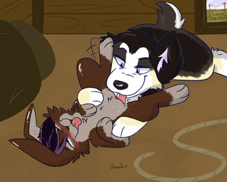 bestiality cunnilingus duo female female/female feral oral sex snarling tongue tongue_out vaginal vixeyhuskybutt border_collie canid canine canis collie domestic_dog herding_dog lagomorph leporid mammal pastoral_dog rabbit sheepdog 5:4 hi_res