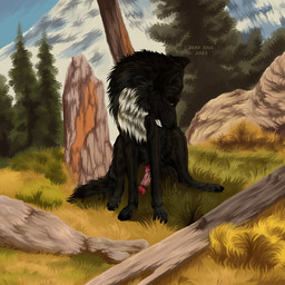 animal_genitalia animal_penis black_body black_fur black_nose canine_genitalia canine_penis erection feral front_view fur genitals grass knot male mouth_closed outside penis pink_penis plant red_penis rock sitting solo text tree white_body white_fur yellow_eyes msdeadsoul echo_(wolffylegend) canid canine mammal 1:1 2023 artist_name dated hi_res