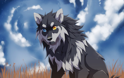 ambiguous_gender black_body black_fur black_nose blue_eyes cheek_tuft cloud cloudy_sky eyebrows facial_tuft feral fur grass grey_body grey_eyebrows grey_fur heterochromia looking_at_viewer outside plant sitting sky snout solo star starry_sky tuft yellow_eyes azzai azzai_wanderia_(azzai) canid canine canis mammal wolf 16:10 2018 colored digital_drawing_(artwork) digital_media_(artwork) shaded widescreen