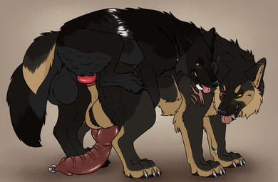 anal anal_penetration animal_genitalia animal_penis anus balls black_body black_fur canine_genitalia canine_penis duo ear_piercing ear_ring erection feral feral_on_feral feral_penetrated feral_penetrating feral_penetrating_feral frenum_ladder frenum_piercing from_behind_position fur genital_piercing genitals glistening glistening_eyes grey_balls grey_body grey_fur grey_sheath industrial_piercing intraspecies knot knotted_penis ladder_piercing larger_feral larger_male larger_penetrated looking_back male male/male male_feral male_penetrated male_penetrating male_penetrating_male mating_grip open_mouth penetration penile penile_penetration penis penis_in_ass penis_piercing piercing prince_albert_piercing red_penis red_tongue ring_piercing sex sheath size_difference smaller_feral smaller_male tan_balls tan_body tan_fur tongue tongue_out yellow_eyes killthe_demon beau_(williamca) echo_(wolffylegend) canid canine mammal hi_res
