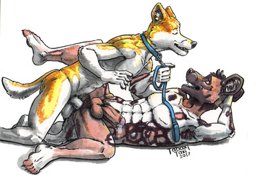 anal anal_penetration anthro anthro_on_anthro biped bodily_fluids butt collar cum dominant dominant_male duo erection fangs from_front_position fur genital_fluids genitals glans humanoid_genitalia humanoid_penis leash leash_pull leashed_top looking_pleasured lying male male/male male_penetrated male_penetrating male_penetrating_male missionary_position muscular muscular_male on_back open_mouth open_smile penetration penis power_bottom precum sex side_view smile spread_legs spreading submissive submissive_male teeth tabaxitaxi african_wild_dog canid canine canis domestic_dog husky mammal nordic_sled_dog spitz 2017 signature traditional_media_(artwork)