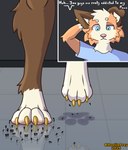 anthro crush ear_piercing engel_ceher feet foot_crush foot_focus group macro male micro pawpads paws piercing pink_pawpads text hostileprey border_collie canid canine canis collie domestic_dog herding_dog mammal pastoral_dog sheepdog absurd_res english_text hi_res