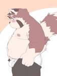 anthro belly big_belly blush bottomwear bulge clothing kemono male moobs nipples overweight overweight_male pants solo underwear dokyudokyu1 tight_pants_(meme) ailurid mammal red_panda 2023 3:4 hi_res meme